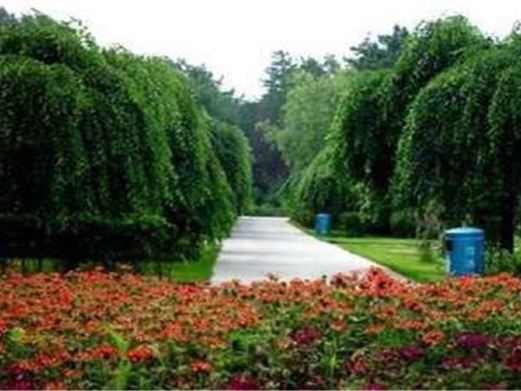 黑龙江省森林植物园