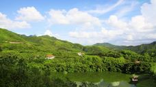 雁南飞茶田景区-梅州-doris圈圈