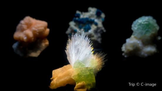 休斯頓自然科學博物館