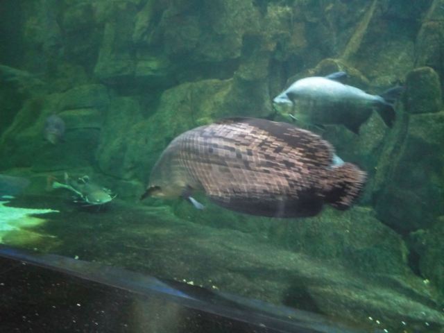 Qujiang Polar Ocean Park