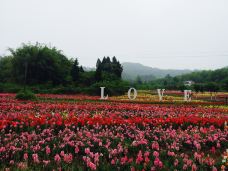 银城花海-岳池-茹伊520