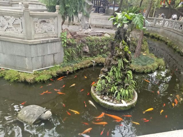 Qinghui Garden