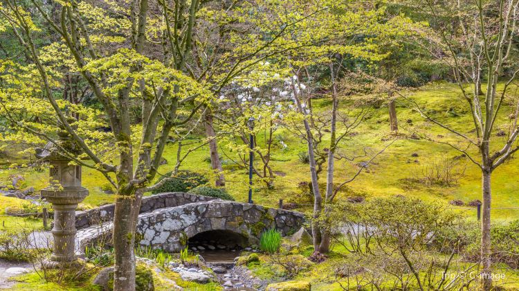 Seattle Chinese Garden Tickets Deals Reviews Family Holidays