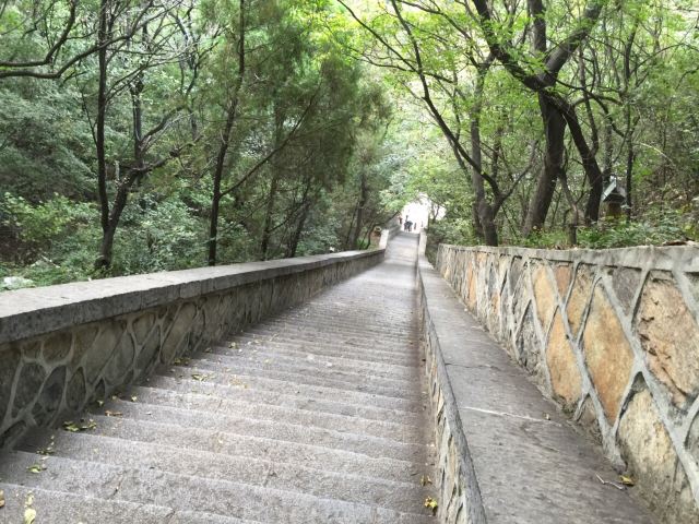 三皇寨