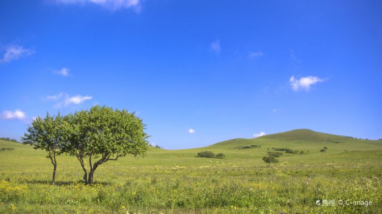 3-Day China + Inner Mongolia + Saihanba National Forest Park + Wulanbutong Steppe Tourist Area
