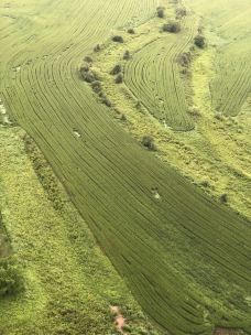 南山公园-大兴安岭-YoYo_7H9O5V2K