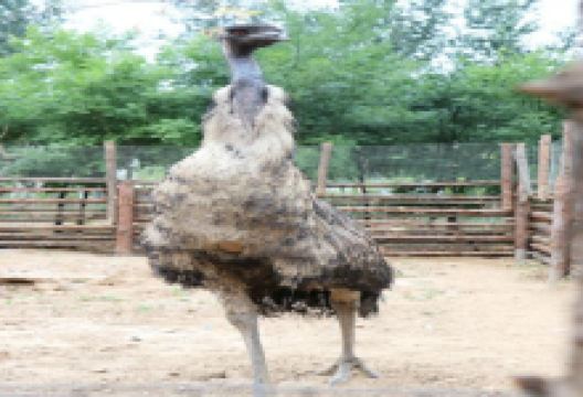 汾阳旅游图片-汾阳休闲1日游