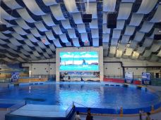 合肥海洋世界-合肥-加劭