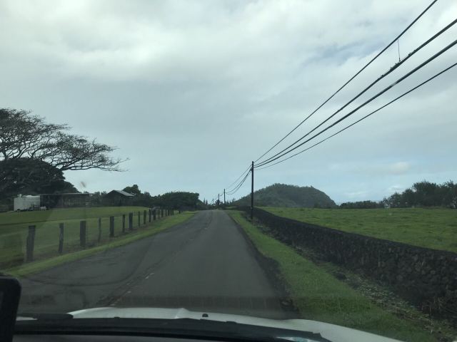 Waimea Valley