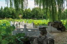 古莲花池-保定-耀晨影像