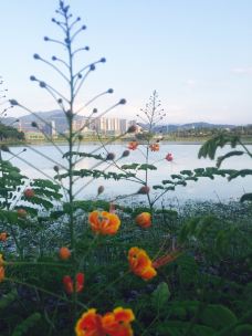 剑英公园-梅州-YoYo_8Z2B6U0D