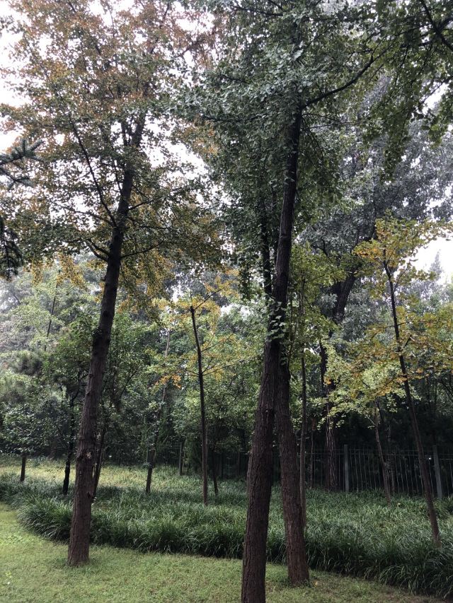 취안청공원