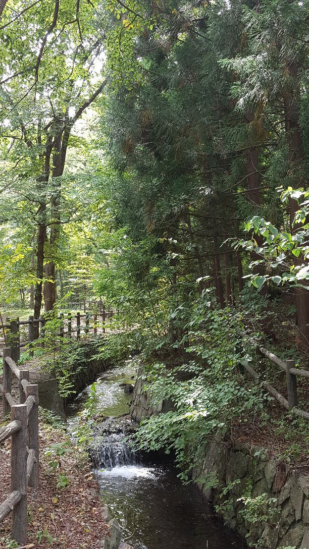 Maruyama Park