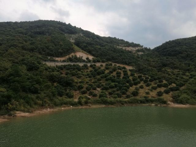 고로산