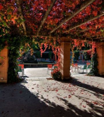 巴利亚多利德游记图文-它的羽毛璀璨了巴利亚多利德整座城市！