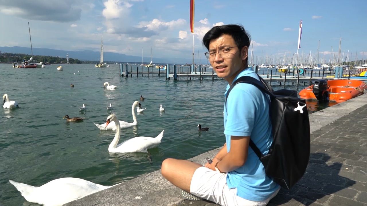 爱在日内瓦湖！与天鹅一起嬉戏的时光，真美！