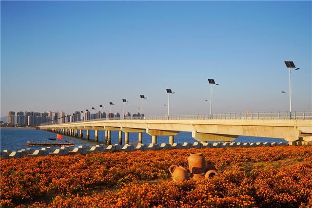 海阳连理岛