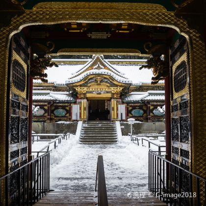 日本东京+日光市6日5晚私家团