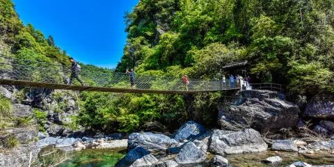 牯牛降國家級自然保護區
