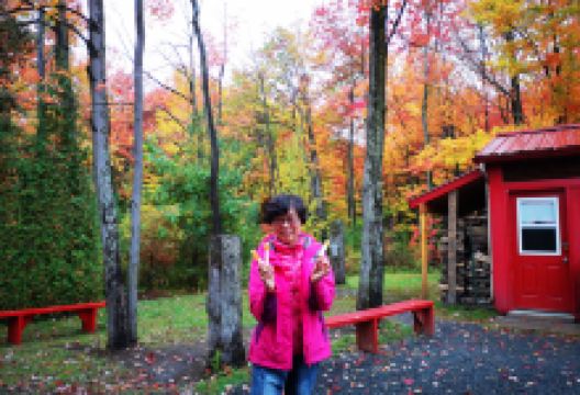 Chez Dany美食图片