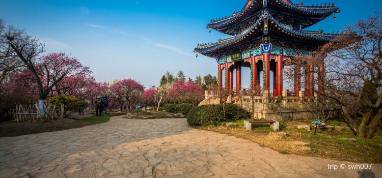 Meihuashan Tickets Deals Reviews Family Holidays Tripcom - 