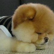 在路上行走流浪