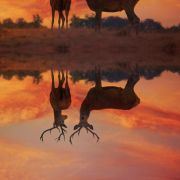 经历后才会成长