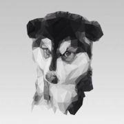 一条阳道走到黑