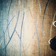 刘先生的娜样年华