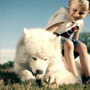 请不要一味的敷衍我