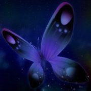 小小小小肥龙不加