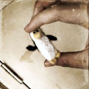 没心没肺也是美