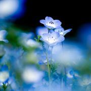 是打伞的小蘑菇