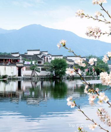 4天3晚 • 黃山風景區＋宏村景區＋婺源篁嶺＋徽州古城