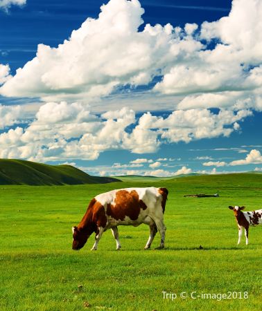 3D2N • Inner Mongolia Hulunbuir + Ergun + Heishantou Town