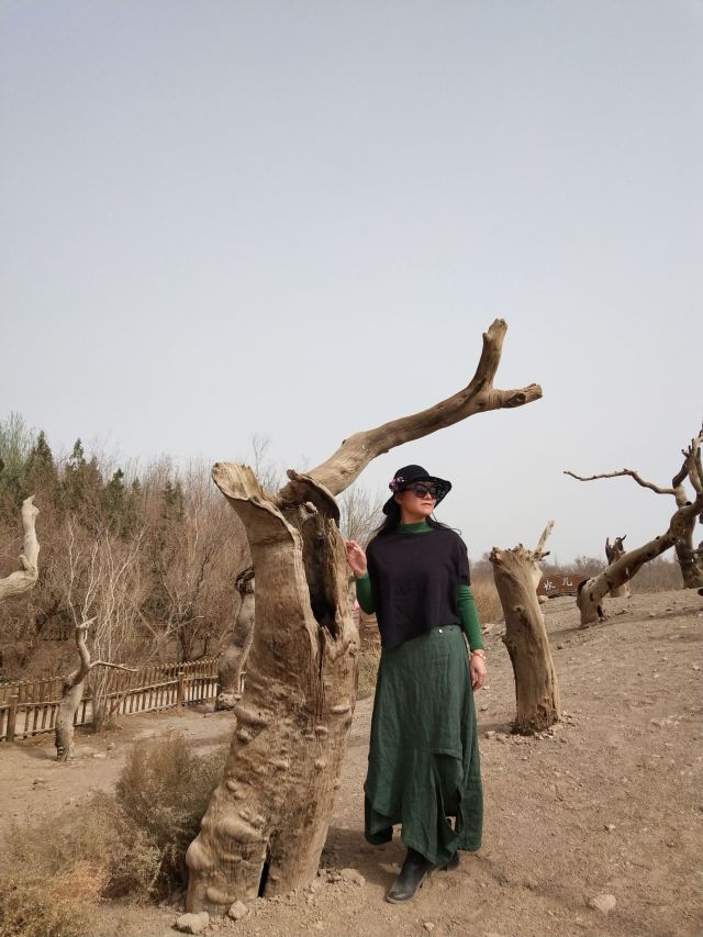 中国科学院吐鲁番沙漠植物园旅行图片 4