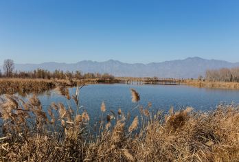 野鸭湖1日游【打卡永宁古城-吃柳沟豆腐宴】【往返大巴每人一座[根据人数安排车型]】