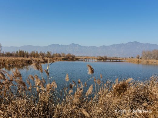 野鸭湖国家湿地公园
