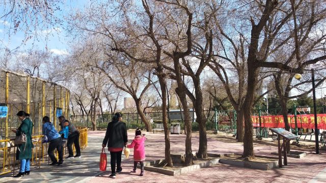 西拉木伦公园旅行图片 3