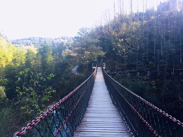 朱旺村古建筑群旅行图片 3