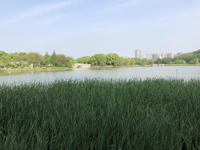 安庆市菱湖风景区旅行图片 1