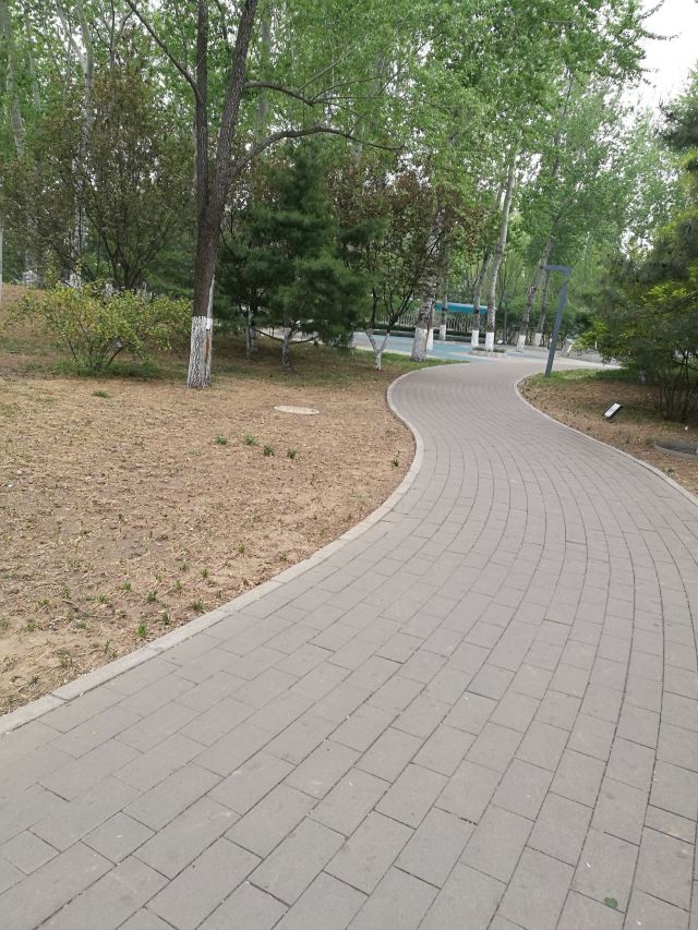 五棵松奥林匹克文化公园旅行图片 3