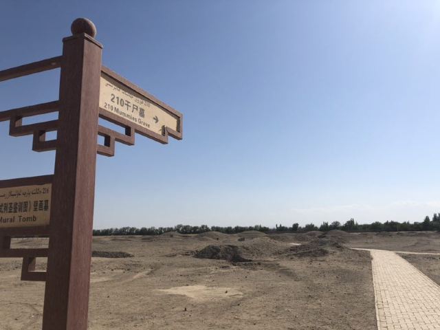 阿斯塔那古墓群(暂停开放)旅行图片 9