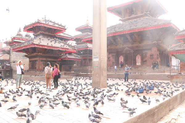 尼泊尔的人文风景之旅，二人团尼泊尔八日观乐游