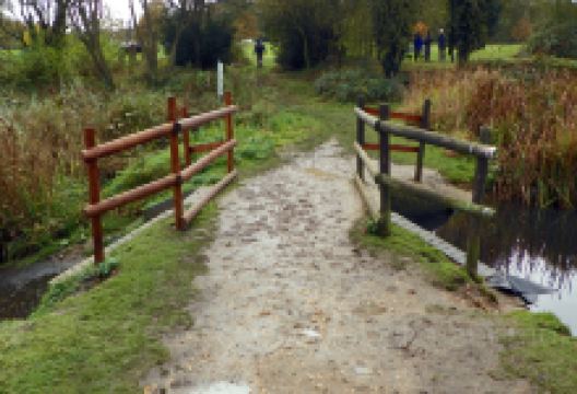 Mud Pond Trail景点图片