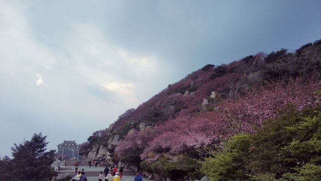 泰山风景名胜区旅行图片 1