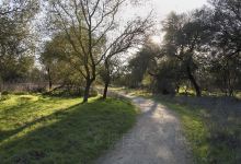 Effie Yeaw Nature Center景点图片