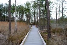 Bethany Beach Nature Center景点图片