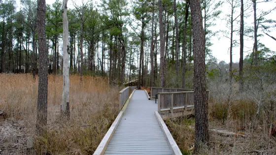 Bethany Beach Nature Center