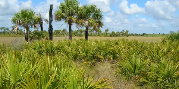 Cypress Trails騎馬遊覽